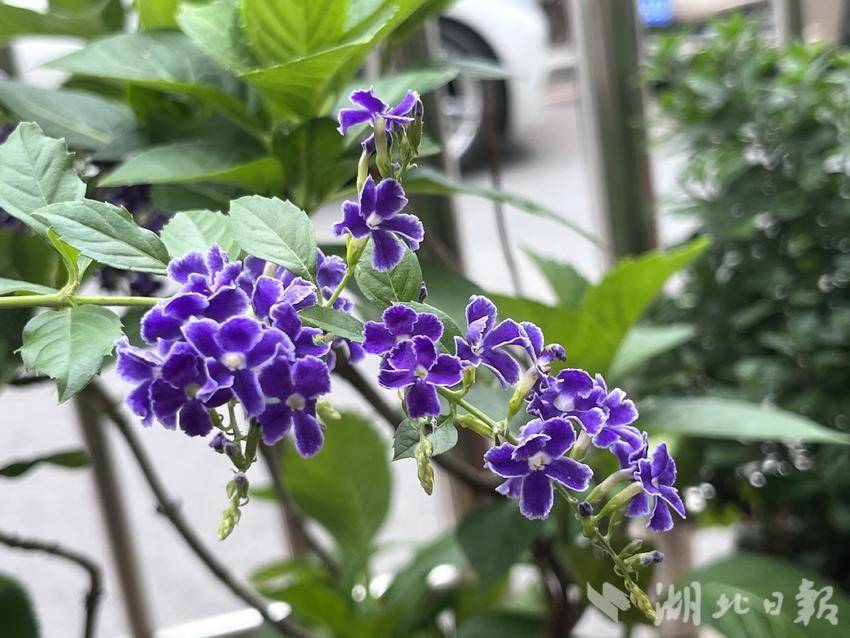 新京网首页官网